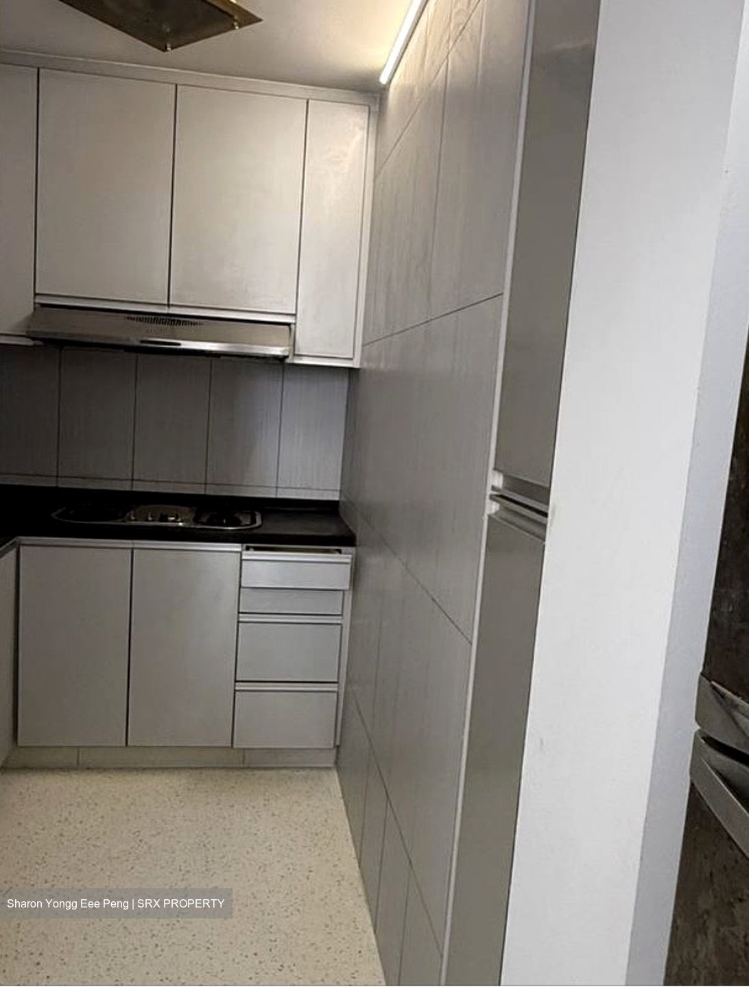 Evergreen View (D14), Apartment #555471981